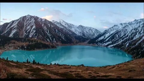 Есектердің көбірек фотосуреттері