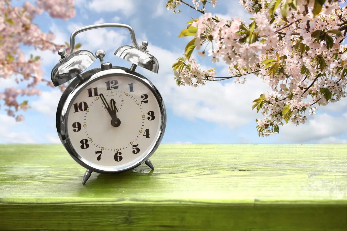 Clock spring