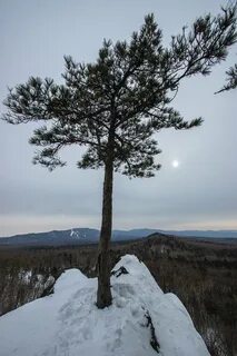Погода малая сопка