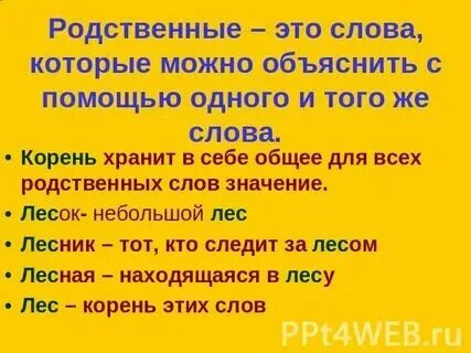 Родственные слова к слову бестолковый