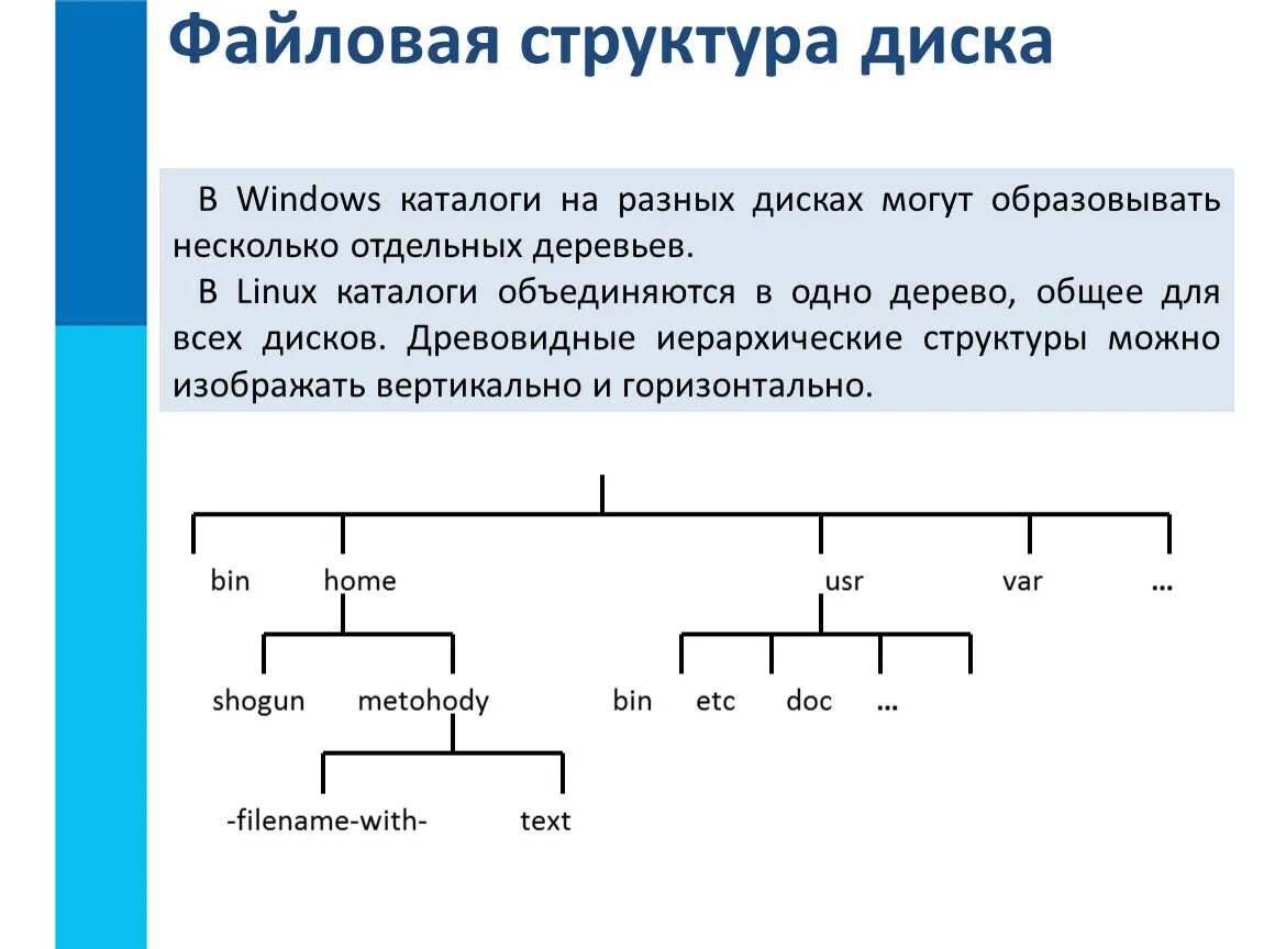 Структура дисков и файловых систем. Структура файловой системы на диске. Система Windows файлы и файловые структуры. Иерархическая файловая структура Информатика 7 класс. Файловые системы windows 7