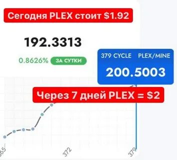 Плекс 2