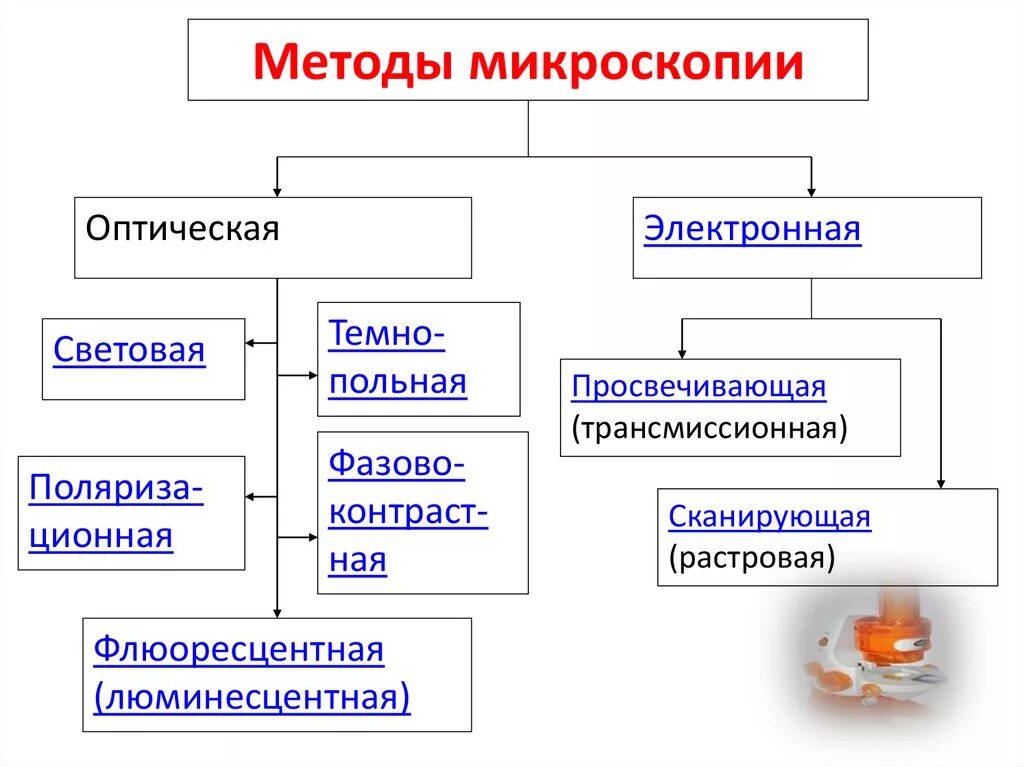 Специальные методы микроскопии микробиология. Типы микроскопов и методы микроскопии микробиология. Типы микроскопии таблица. Микроскопические методы исследования в микробиологии таблица.