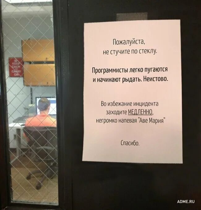 Стучат на работе. Прикольные объявления в офисе. Смешные надписи в офис. Смешные объявления в офисе. Объявления в офисе приколы.