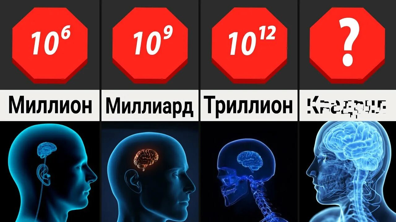Самое большое число в мире бесконечность. Numbers after billion. what comes after billion. sscg 3 число. что идет после.