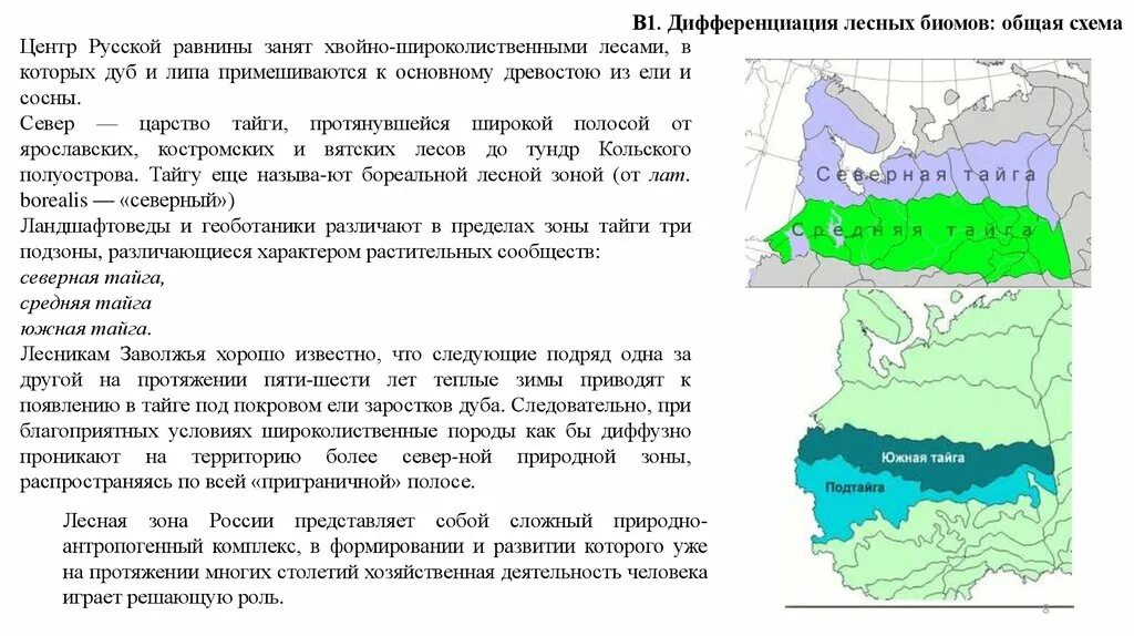 Положение в природных зонах восточно европейской. Природные зоны Восточно европейской русской равнины. Границы природных зон русской равнины. Климатическая карта русской равнины. Типы климата русской равнины.