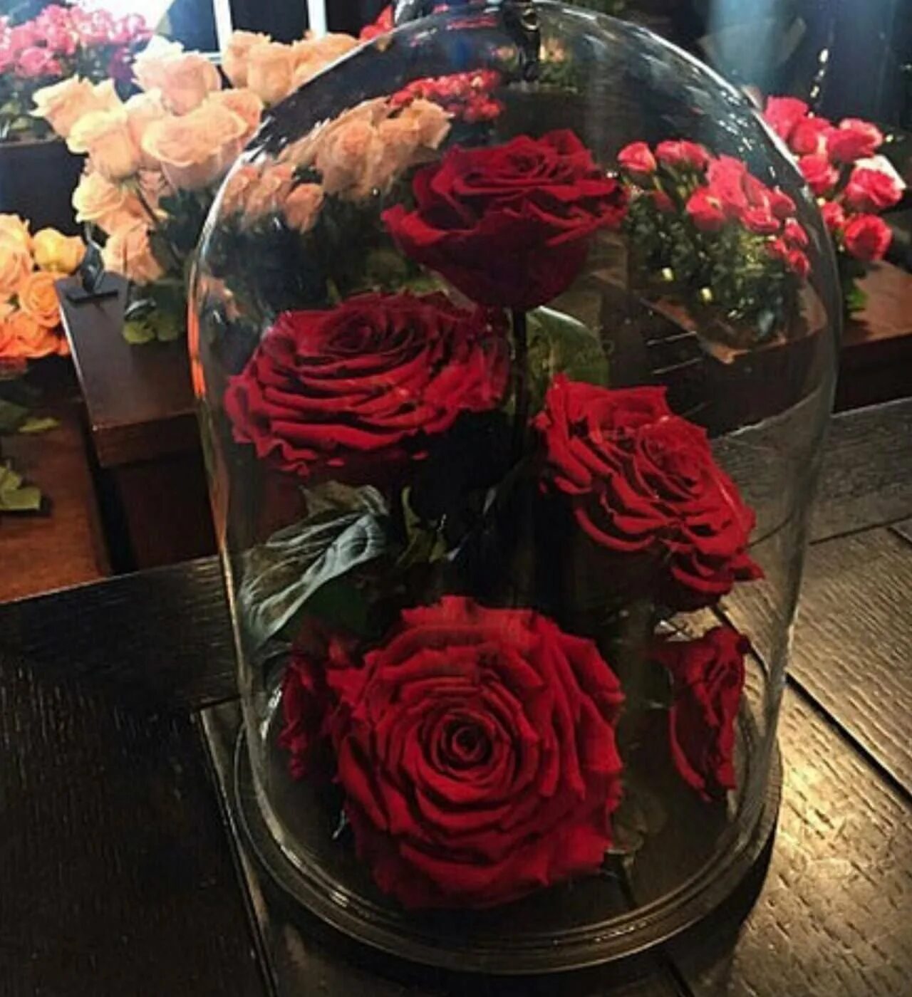 Стеклянная розочка. Роза из стекла. Стеклянная розочка. Роза в осколках стекла. Роза из стекла.