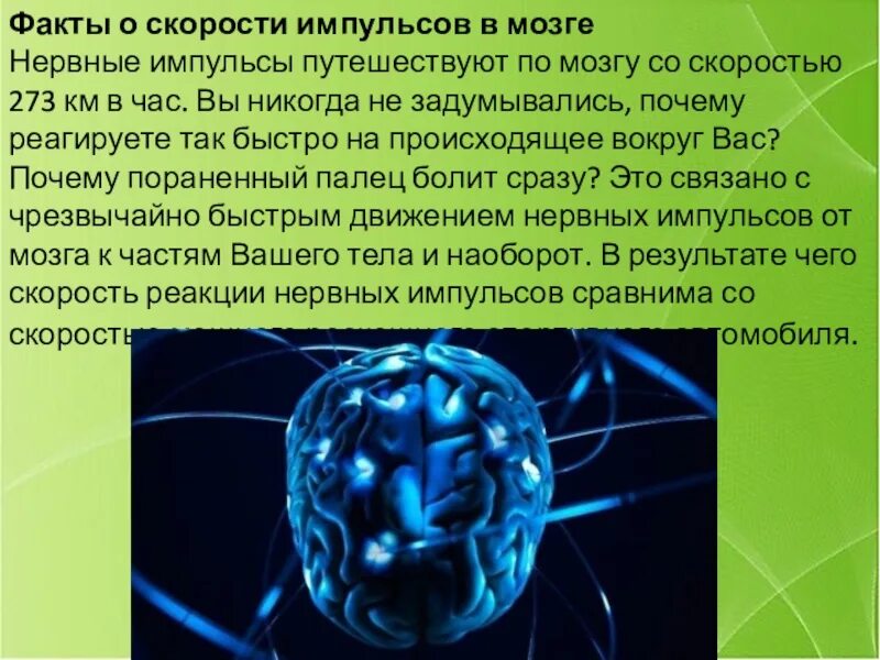 Факты про мозг. Интересные факты о мозге. Факты о мозге человека. Интересные факты о человеческом мозге. Интересная информация о головном мозге.