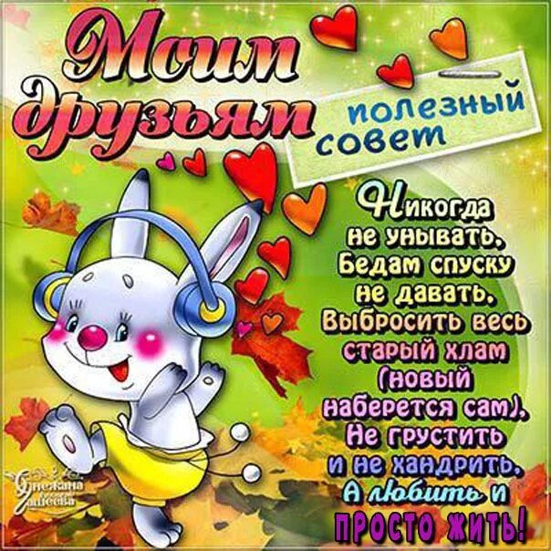 Никогда не стоит унывать. День друзей открытки прикольные. прикольные пожелания друзьям. поздравления с днём друзей прикольные в картинках. пожелания не унывать.