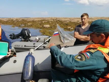Сдать гимс