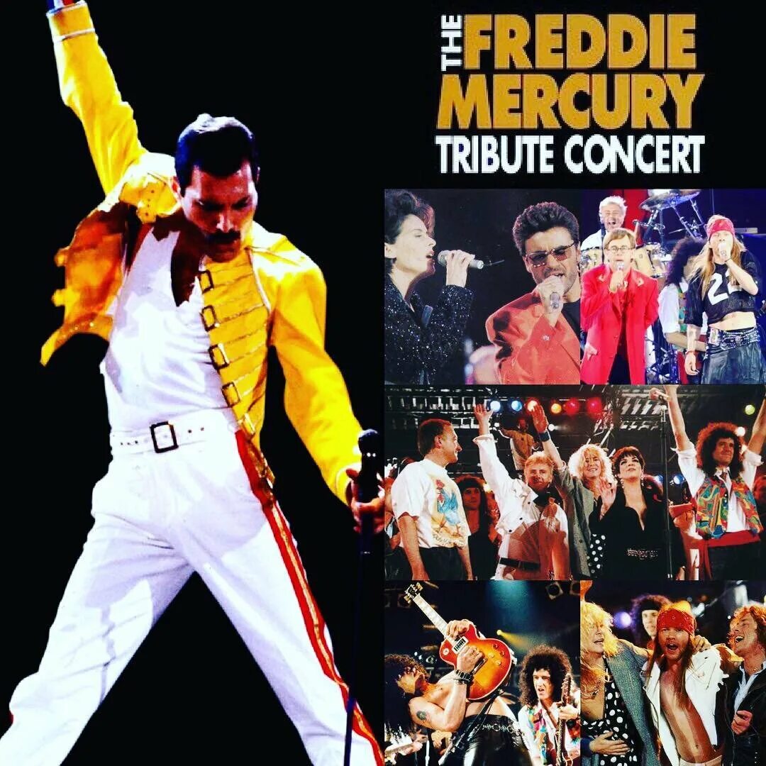 Трибьют Фредди Меркьюри 1992. The Freddie Mercury Tribute Concert. Концерт трибьют Фредди Меркьюри 1992. Фредди Меркьюри шоу маст гоу. Концерт памяти фредди