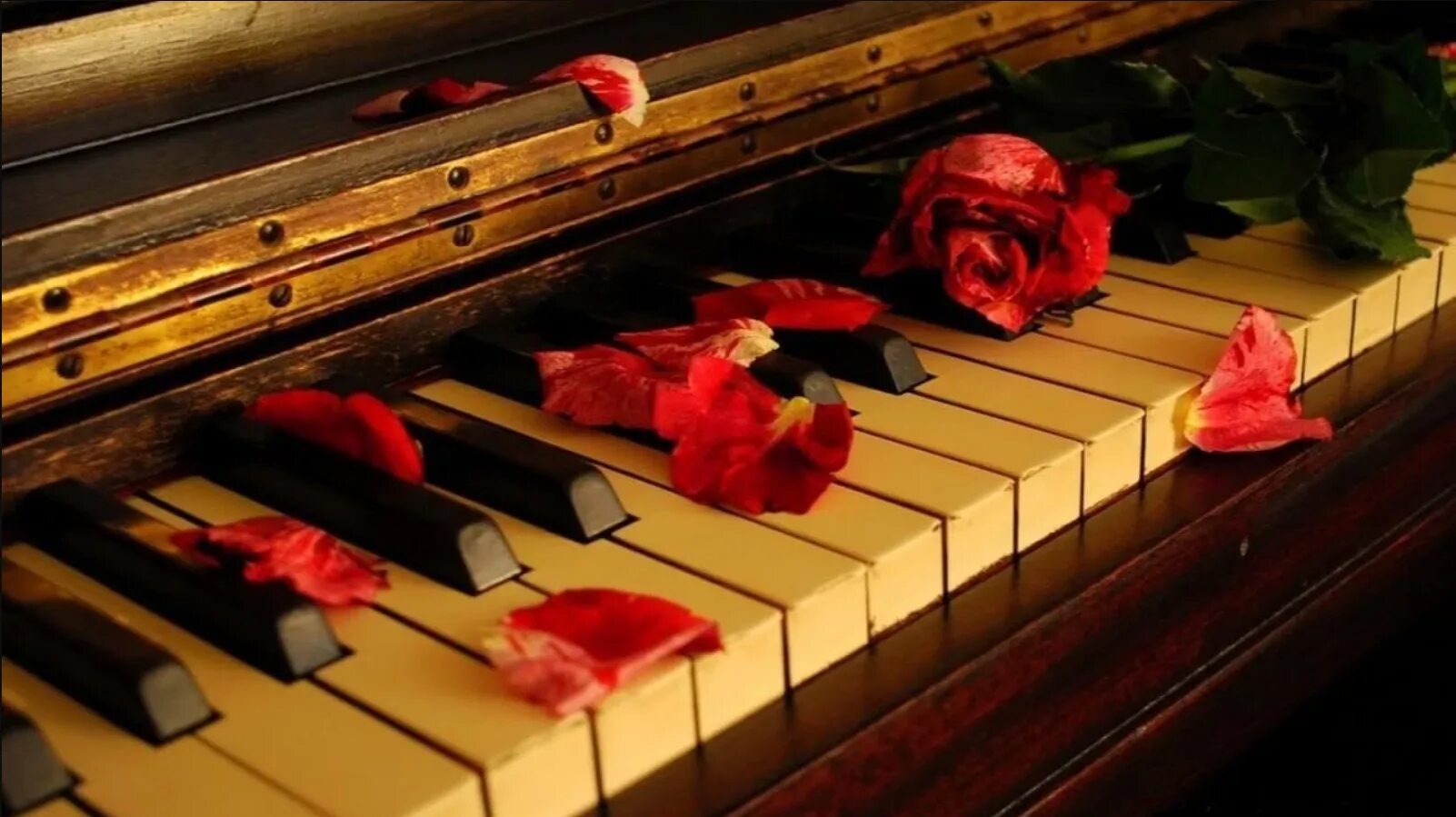 Лирическая музыка на фон. Цветы на рояле. Красивое пианино. Цветы на пианино. Романтическое пианино.