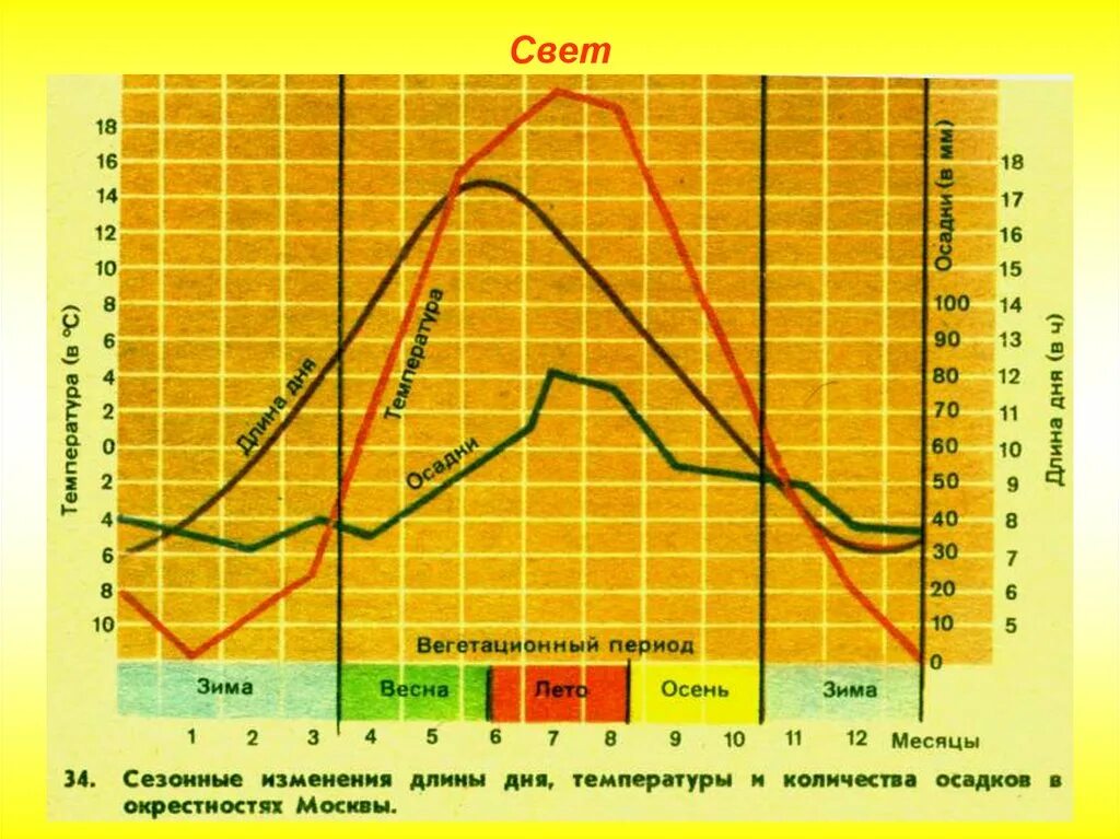 Сезонные изменения светового дня весной. Сезонные изменения температуры какой экологический фактор. Сезонные изменения реакции на длины дня растений.