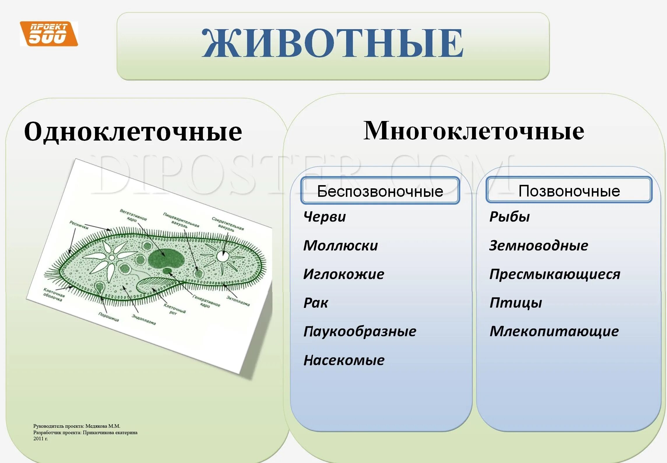 Охарактеризуйте среды обитания одноклеточных какое условие