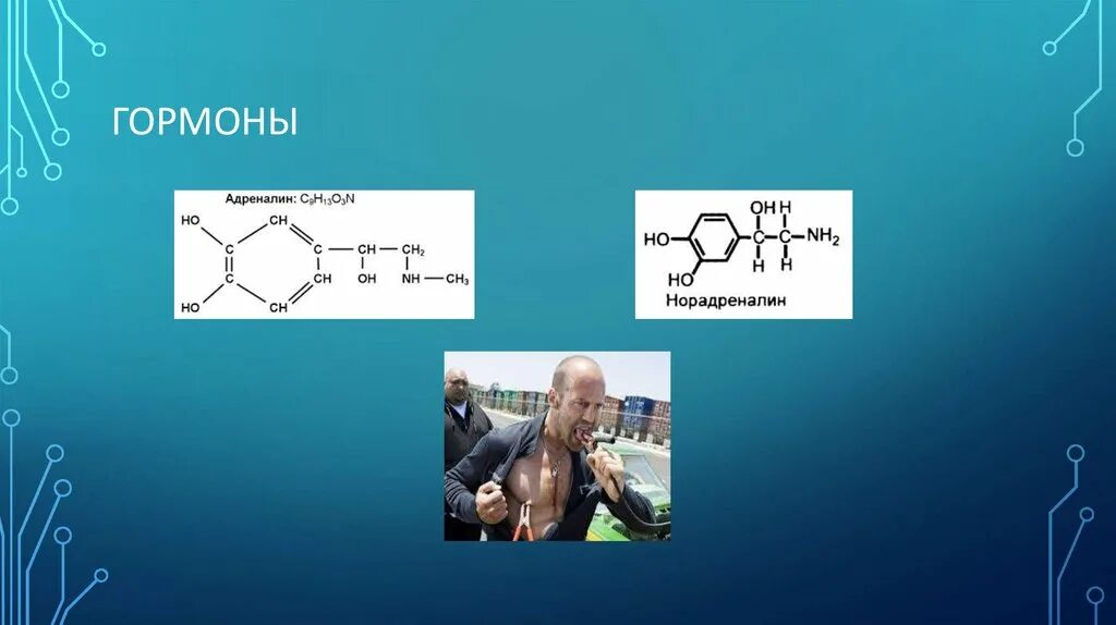 Гормоны адреналин и норадреналин. Норадреналин химическая природа. Гормон адреналин норадреналин являются представителями. Гормоны стресса адреналин норадреналин кортизол. Звук адреналина