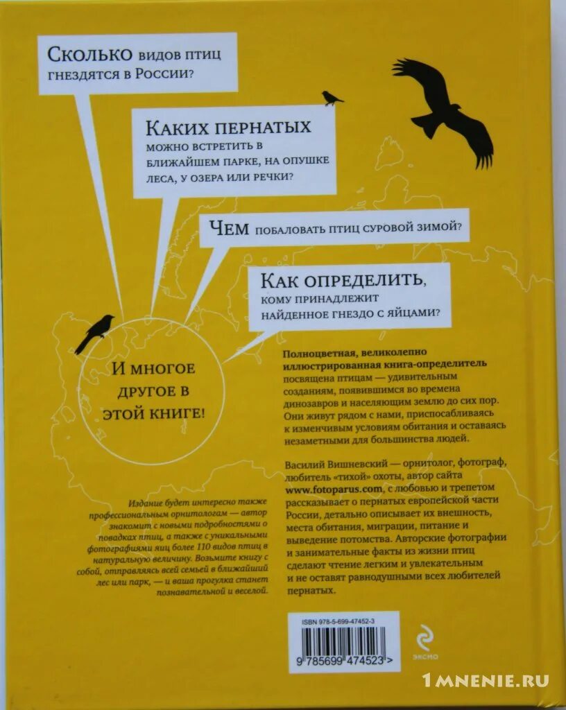 Вишневский птицы. Птицы европейской части России книга. Вишневский орнитолог.