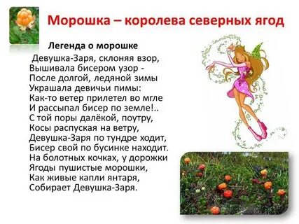 Песня про морошку