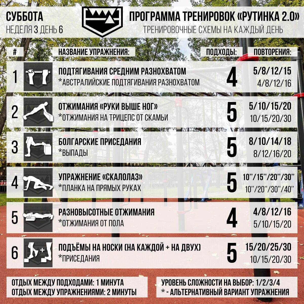 Программа тренировок рутинка. Программа тренировок рутинка 2.0. Болгарские приседания подходы. Подтягивания отжимания приседания