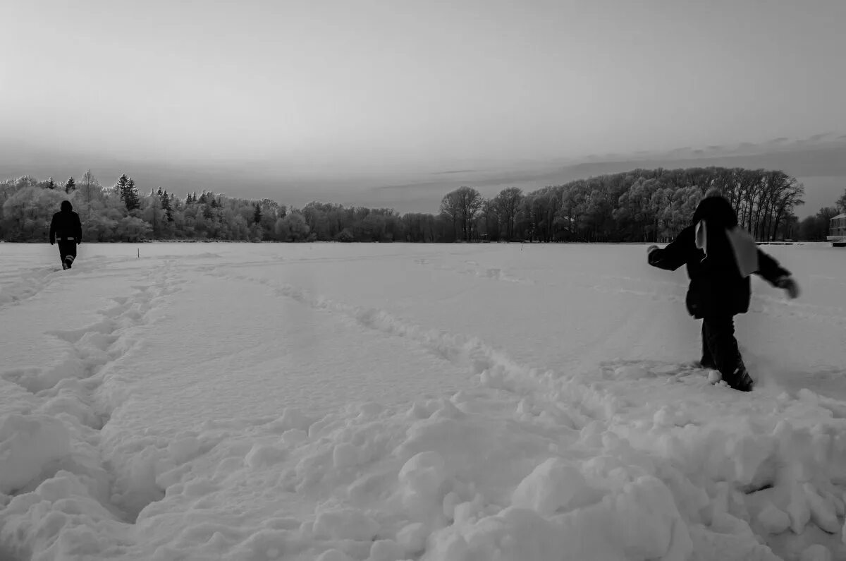 каждому своя дорога устюгов