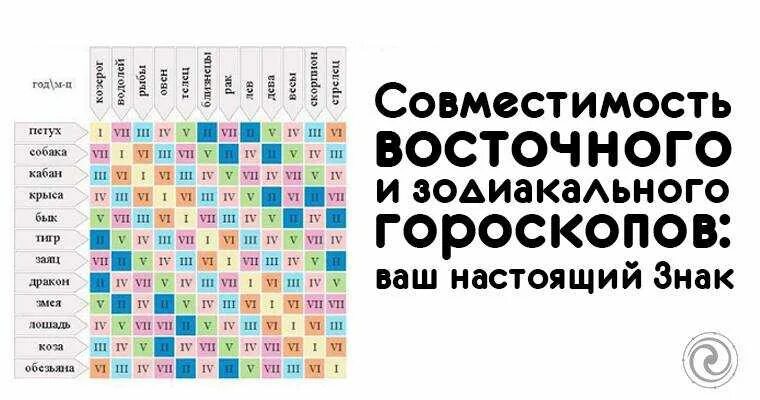 Гороскоп совместимости. Совместимость по годам. Гороскоп по годам совместимость. Таблица совместимости по годам.