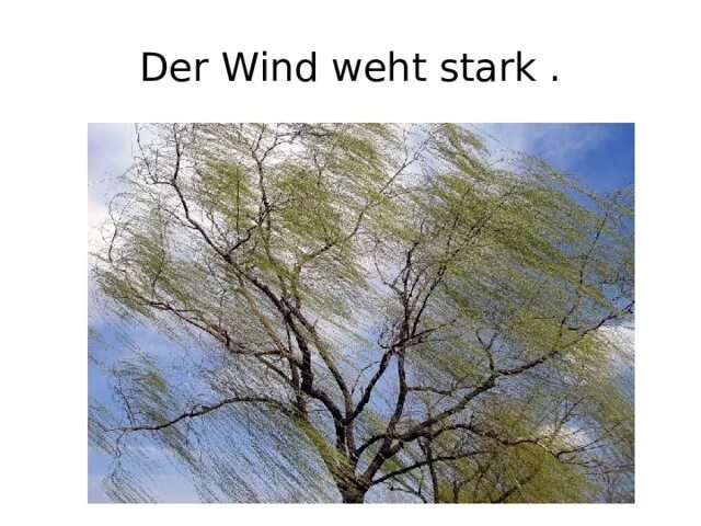 Das wind. Wind de nor. wind de cristobalito. der wind weht nicht so stark перевод с немецкого на русский.