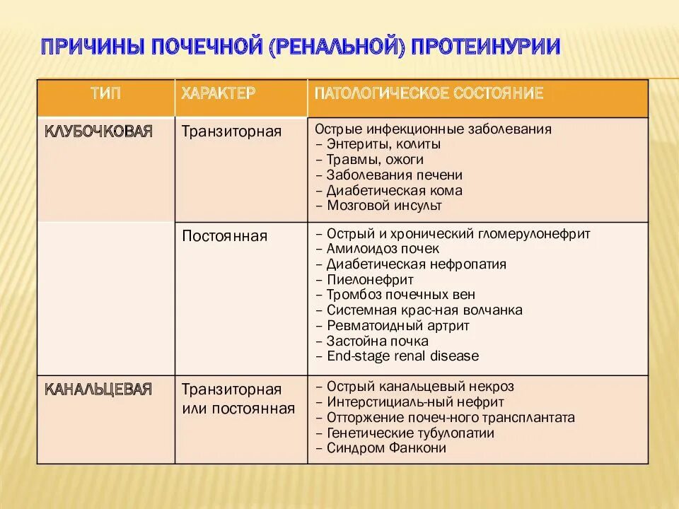 Почему в почках белок. Протеинурия причины. Протеинурия причины возникновения. Типы протеинурии. Причины ренальной протеинурии.