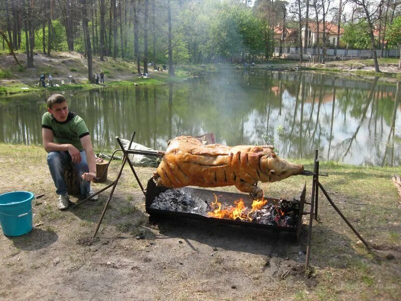 Шашлыки на природе. Шашлык на рыбалке. Пикник шашлык на природе. Приколы про отдых на природе.