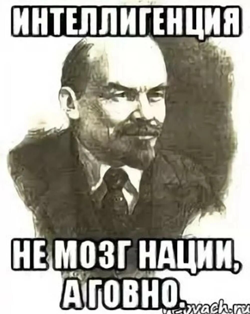 Проблем интеллигенции. Ленин об интеллигенции. интеллигенция это не мозг нации ленин. ленин интеллигенция не мозг говно. интеллигенция - не мозг нации, а говно.