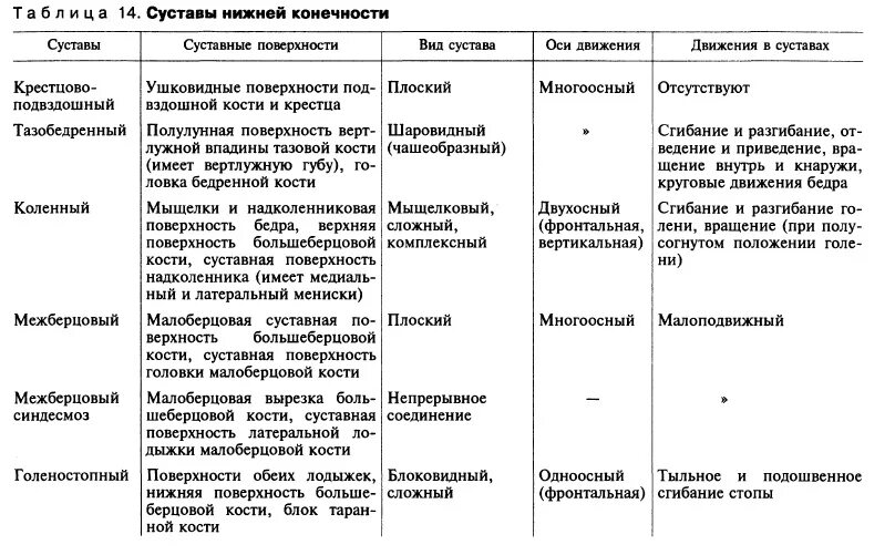 Соединения свободной нижней конечности. Соединение верхних конечностей таблица. Суставы свободной нижней конечности. Особенности строения соединения костей нижних конечностей. Тип соединения скелета нижних конечностей.