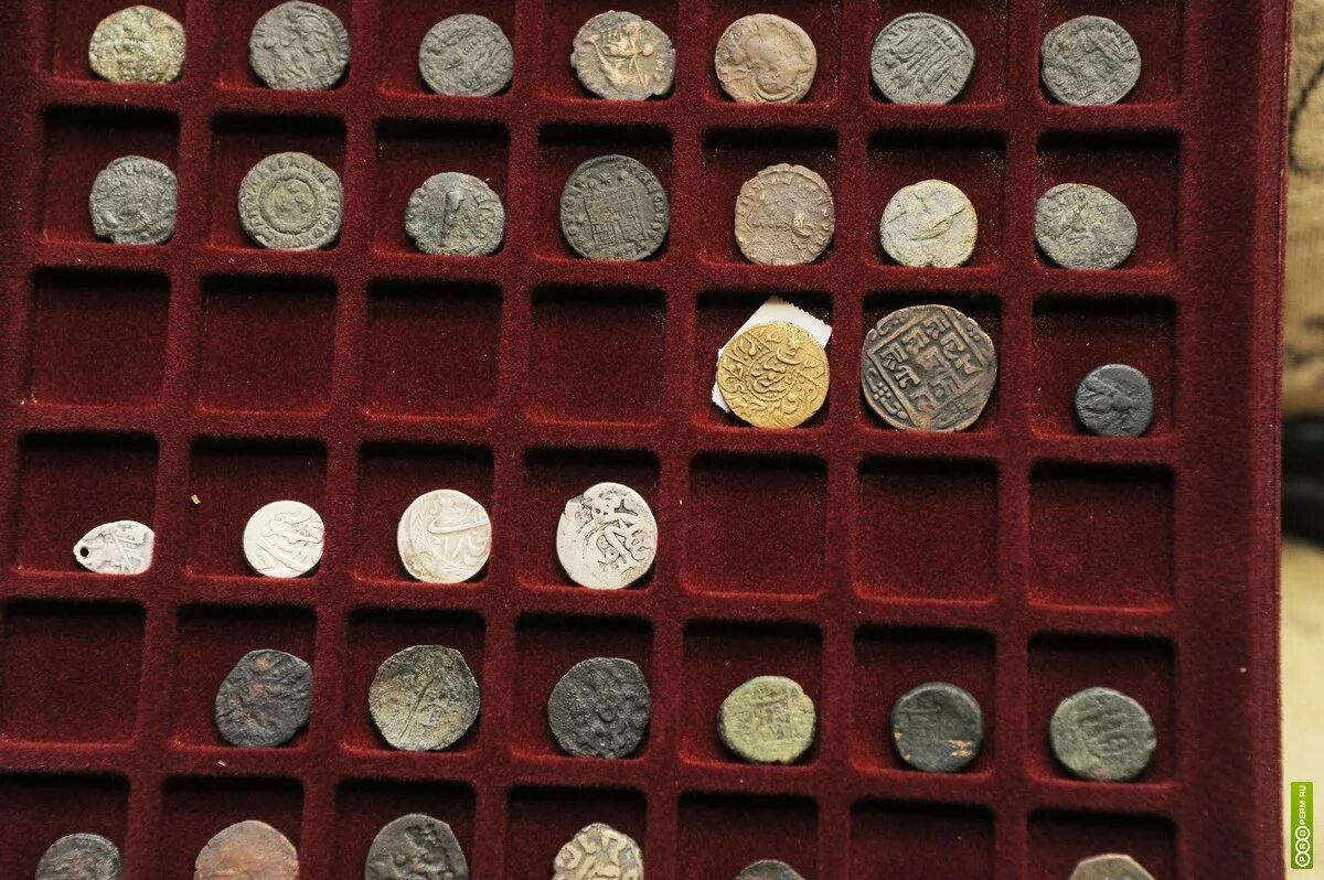 нумизматика нижний новгород. уссурийский когтистый тритон монета. нумизматический магазин махачкала. нумизматика нижний новгород. инструменты нумизмата.