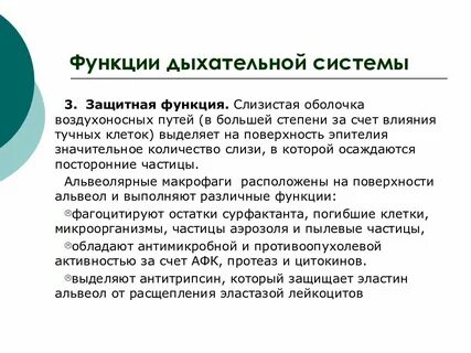 Защитную функцию выполняют системы