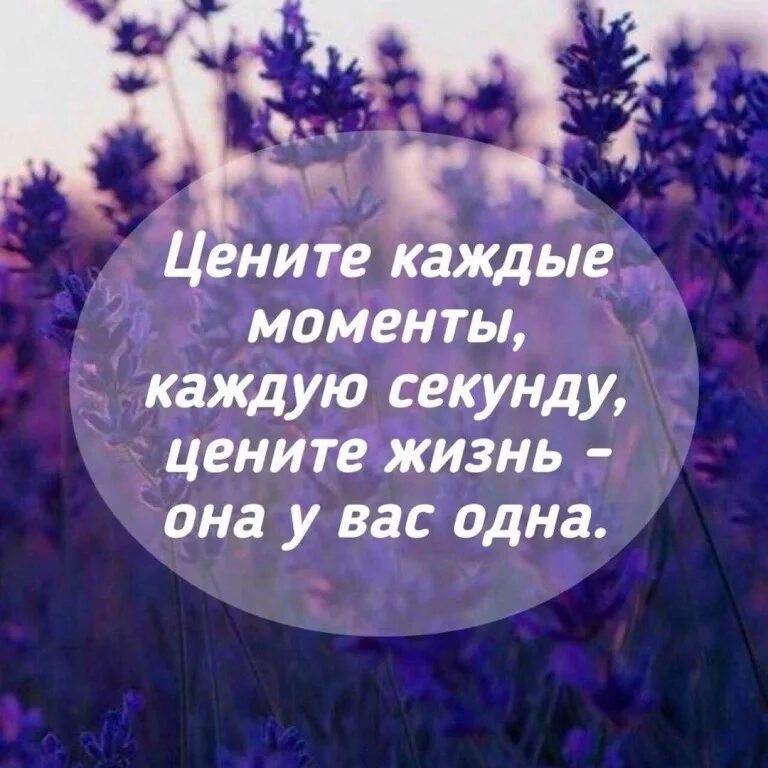 Цените каждые минуты. Цените жизнь. цените жизнь цитаты. цени жизнь цитаты. ценить каждый момент жизни.