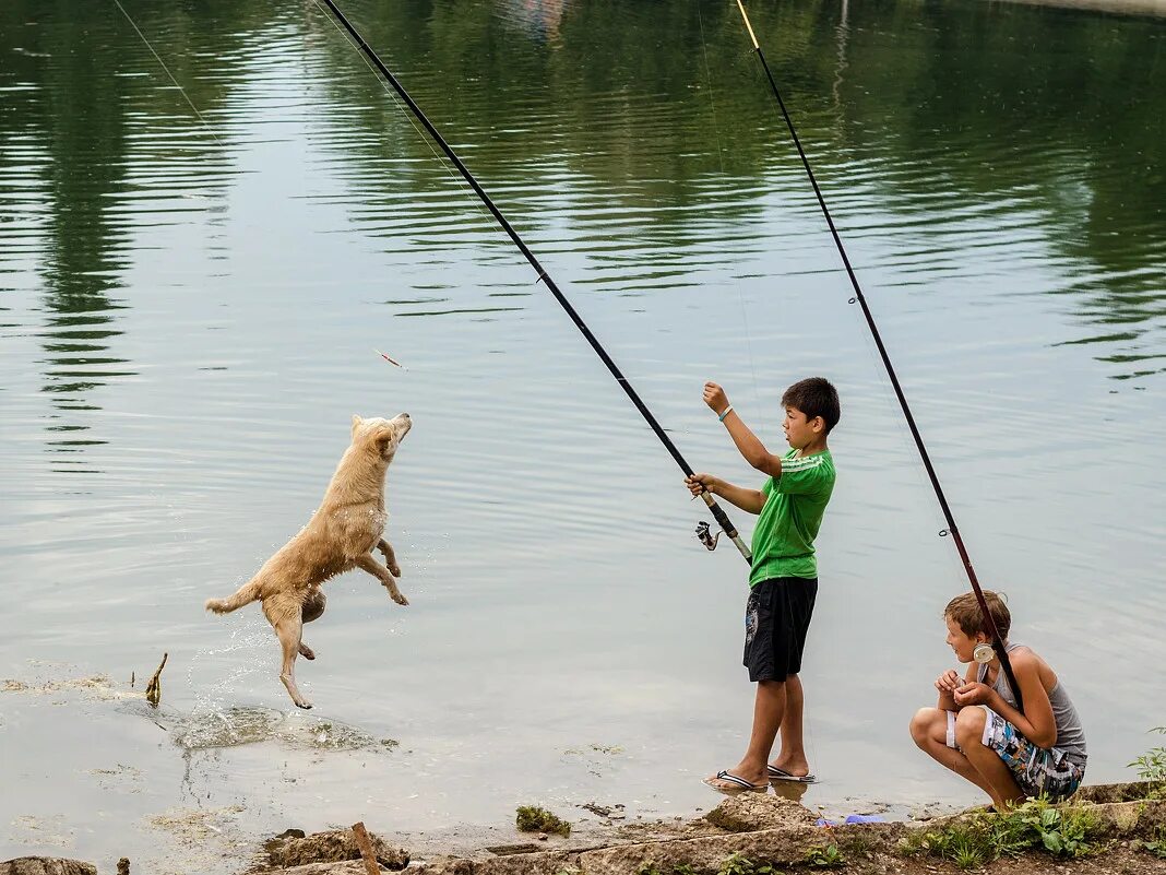 Дом друзей рыбалка. Собака для рыбалки. Собака для рыбаков. Рыбалка с друзьями. Мальчишки на рыбалке.