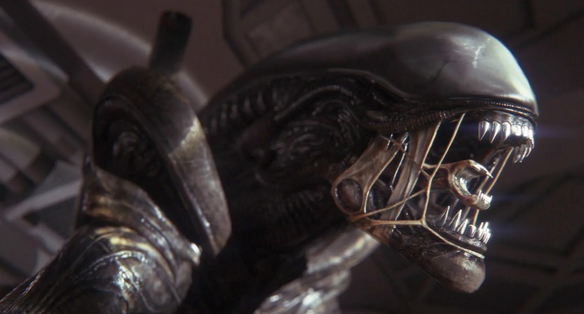 Alien romulus new alien. Alien isolation гнездо.