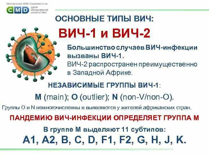 Вич 1.2. ВИЧ 1 И ВИЧ 2. ВИЧ 1 И 2 отличия. ВИЧ 1 И ВИЧ 2 отличия. Чем отличается ВИЧ 1 от ВИЧ 2.