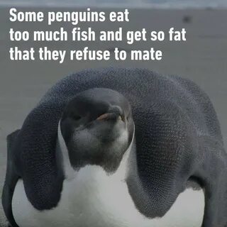 I ve eaten
