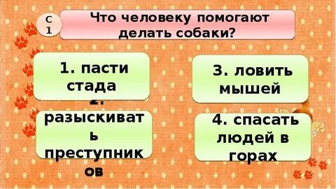 Тест про кошек
