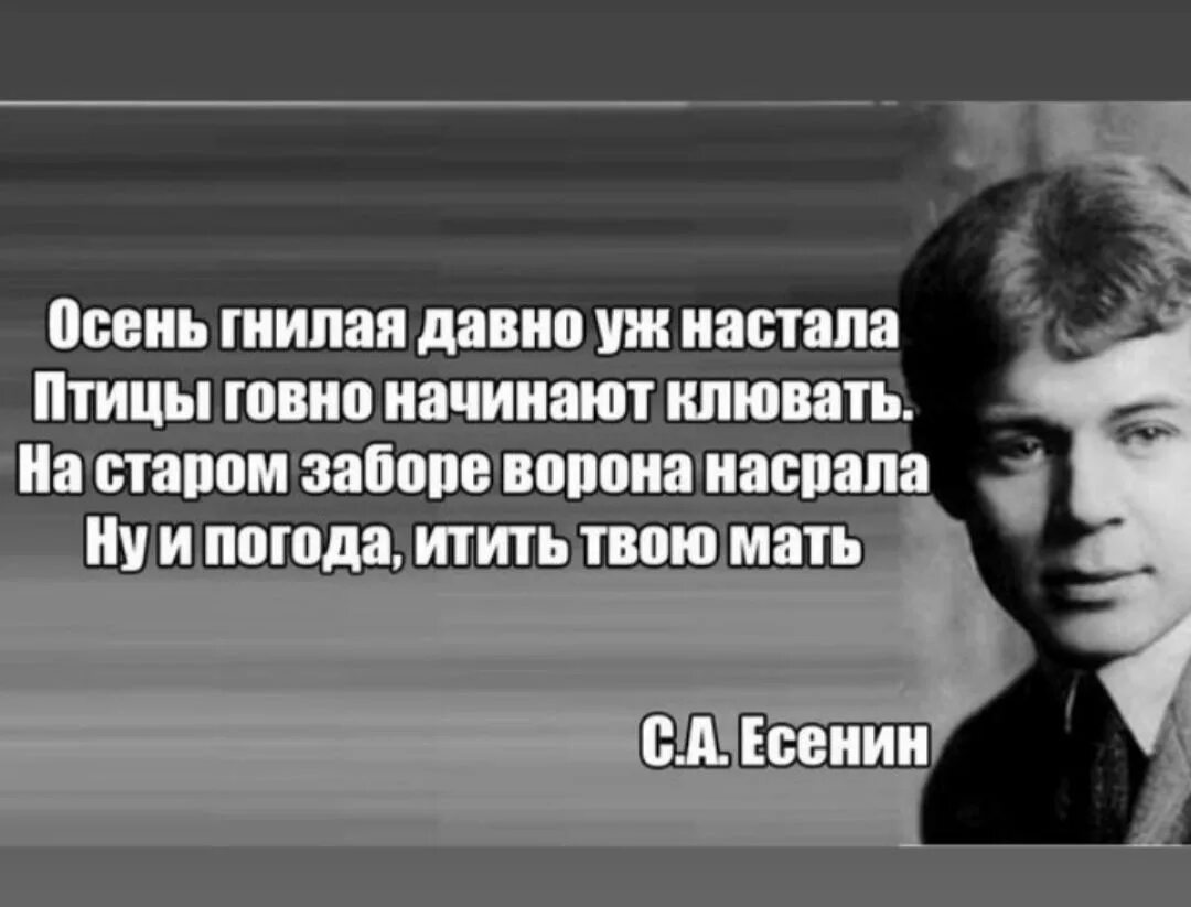Ветер веет с юга есенесенин. Есенин цитаты. Стихи сергея есенина. Стихотворение есенина с матом. Стихотворение есенина.