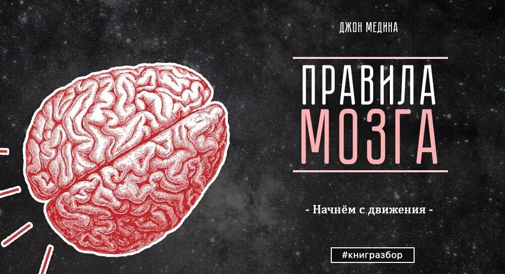 Книги повышающие интеллект. Книга мозг. правила мозга. книга для развития мозга. джон медина книги.