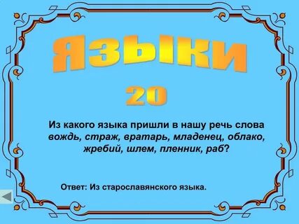 Из какого языка пришло слово пиджак