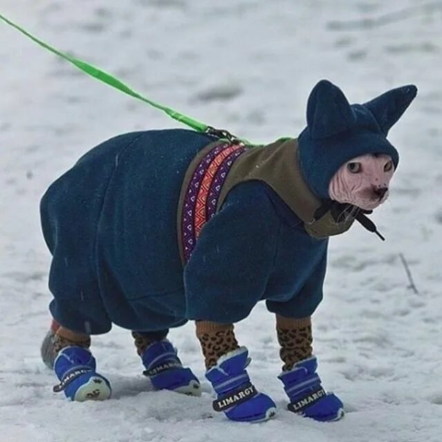 Есть теплая одежда а есть