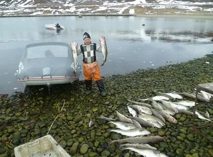 Рыбаки белого моря