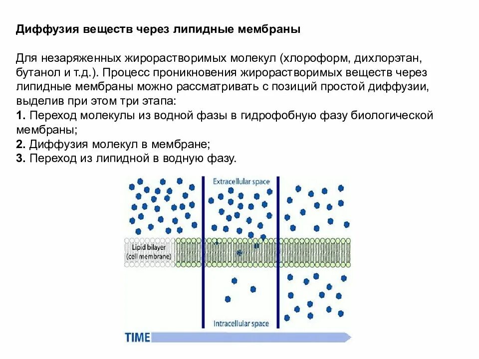 Диффузия веществ. Диффузия через мембрану. диффузия через мембранные. диффузия через мембранные поры.