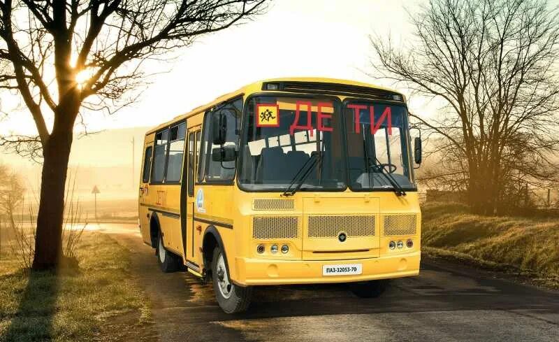 Школьный автобус ПАЗ 32053-70. ПАЗ 3205. ПАЗ 32053 желтый. Паз 32053 школьный автобус