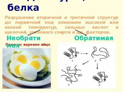 Денатурация белковых веществ