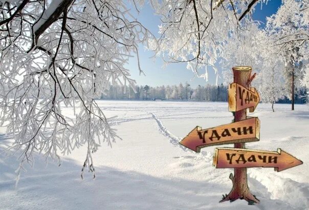 Сегодня 26 января. День случайных направлений. 26 января праздник. день случайных направлений 26 января. 26 января картинки.