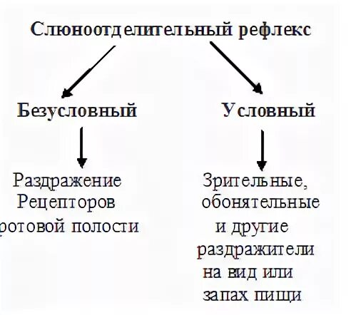 Схема условного и безусловного рефлекса слюноотделения. Слюноотделительный рефлекс физиология. Схема рефлекторная дуга условного рефлекса (слюноотделения). Условный сокоотделительный рефлекс.