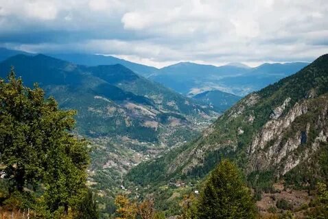 Горная аджария