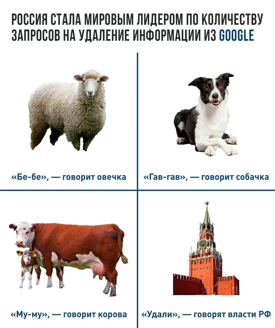 Как говорит баран. Как говорит Овечка. Как разговаривает овца. Как говорит ягненок.