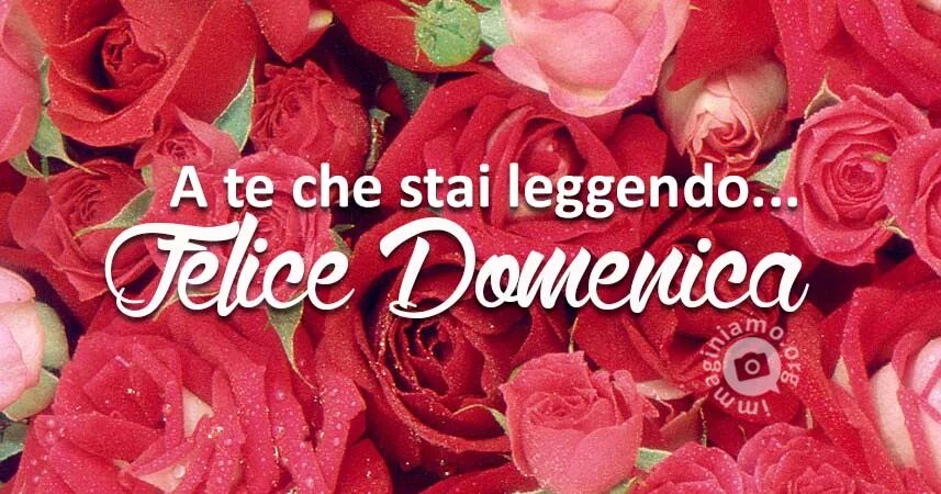 Domenica. Buona domenica картинки. Felice domenica картинки красивые. Te che